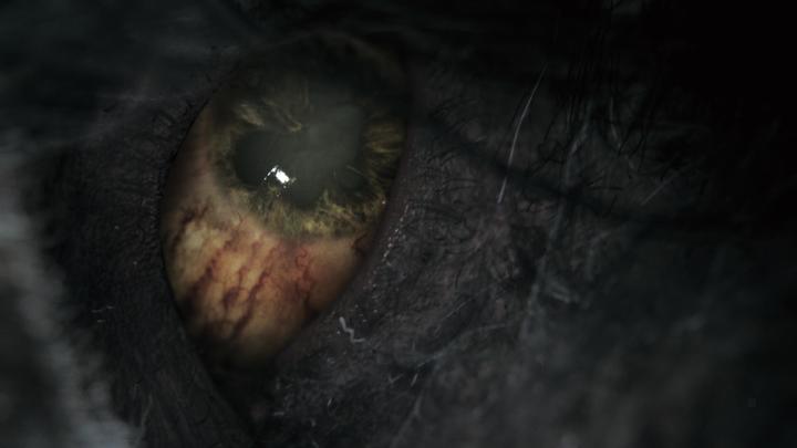 Image du produit Sony Édition GOTY à base de sang (PS4, Multilingue)