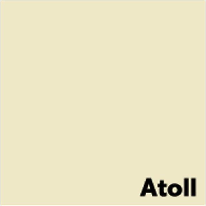 Immagine prodotto Antalis Carta per copie Image Coloraction A4, camoscio chiaro, 500 fogli (80 g/m², 500 x, A4)