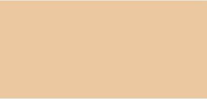 Dior Christian Backstage Concealer No 2W (2N)