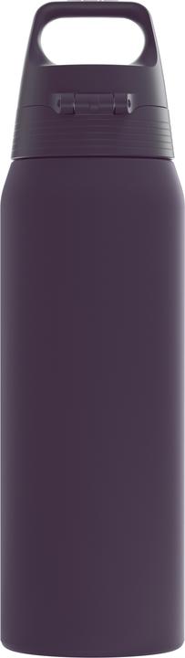 Dark Eggplant