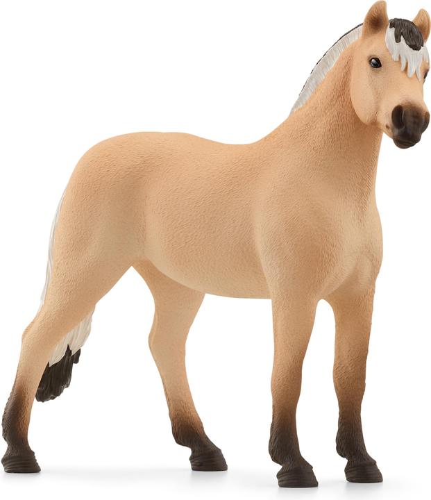 Schleich Cavallo Fjord castrato