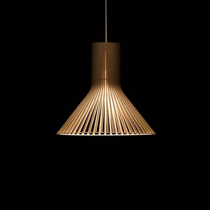 Actual product image Forestier Fil de Fer F50 (750 lm, E27)