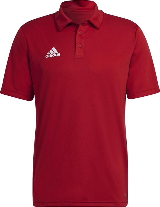 adidas Entrada 22 polo uomo