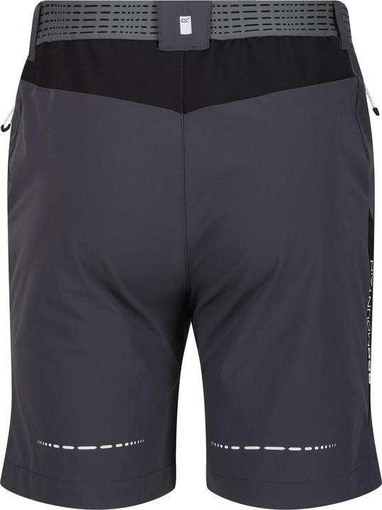 Actual product image Regatta Mens Mountain II Shorts (54 D)