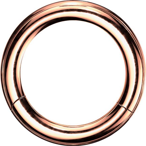 Produktbild Star Piercing Segmentring klappbar rosegold (Chirurgenstahl 316L, ohne Messing)