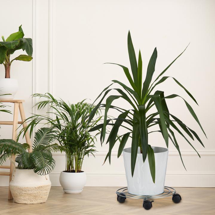 Actual product image Relaxdays plant roller
