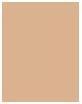 Actual product image MAC Cosmetics Studio Fix - Powder Plus Foundation NC20 (NC20)