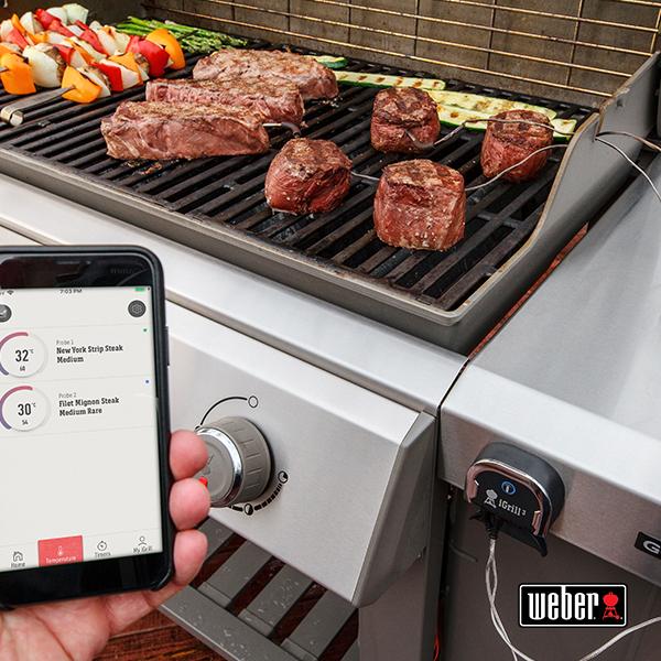 Actual product image Weber iGrill 3