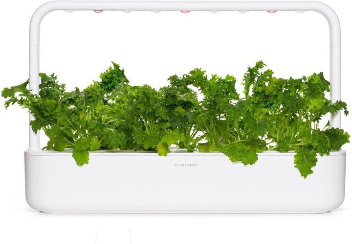 Produktbild Click and Grow Saatgut Wasabi-Senf 3er-Pack (Kräutersamen)