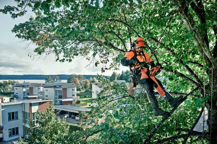 Image du produit Husqvarna T535i XP (Tronçonneuse à batterie)