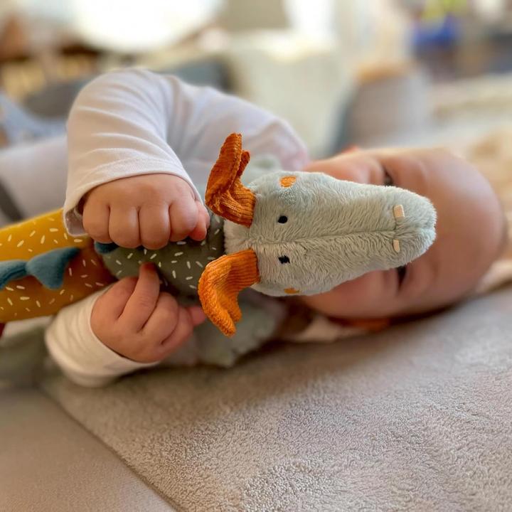 Immagine prodotto Sigikid Klett - Dragon, PlayQ