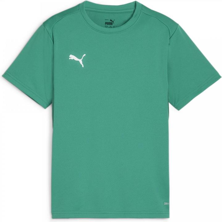 Produktbild Puma teamGOAL Jersey Jr (164)