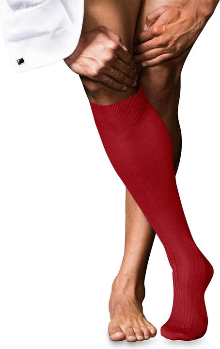 Falke No. 10 KH