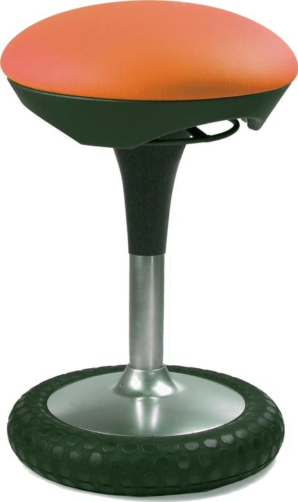 Actual product image Topstar Sitness 20