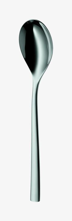 Actual product image WMF Palermo (1 Piece, Scoops)