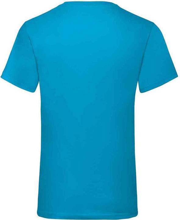 Actual product image Fruit of the Loom Mens Valueweight V Neck T-Shirt (L)