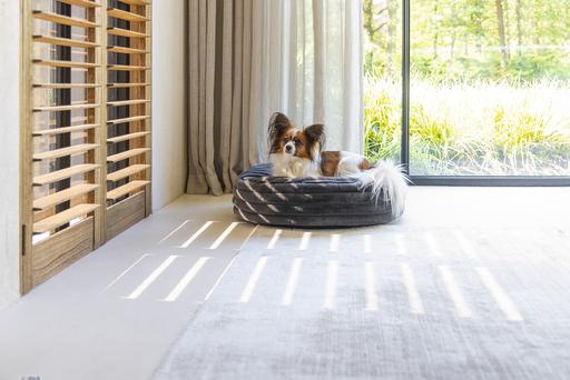 Produktbild Designed by Lotte Liegekissen Reza (Hund)