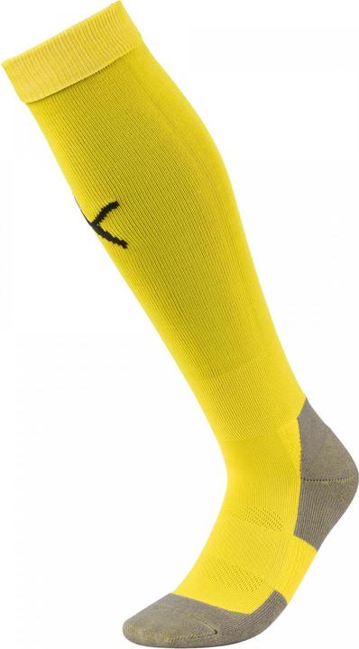 Actual product image Puma Team LIGA Socks CORE-703441 (35, 38)