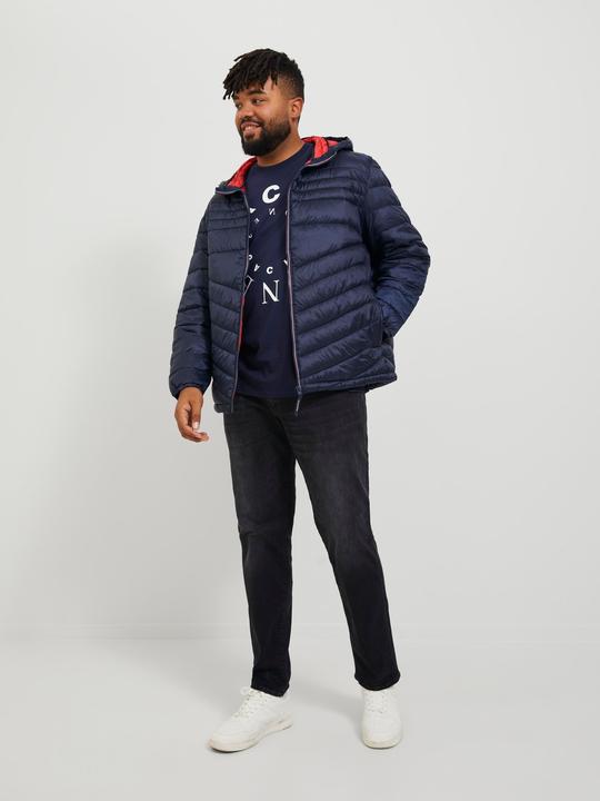 Image du produit Jack & Jones Glenn Fox GE 147 Plus Size Slim Fit Jeans (44)