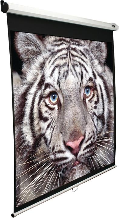 Actual product image Elite Screens manual (150", 16:9)