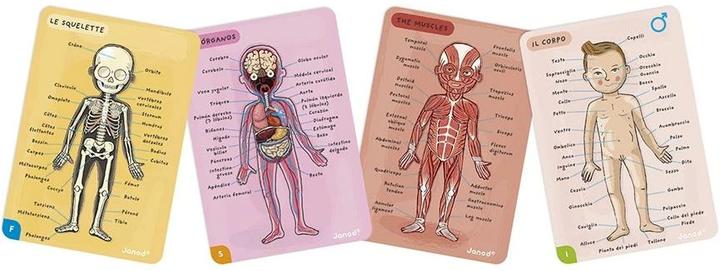 Actual product image Janod Magnetic body (German, English, French, Italian, Spanish)