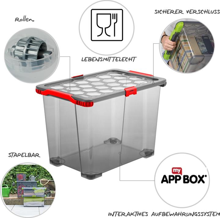 Image du produit Rotho Evo Safe Keeping (59 x 39.5 x 41 cm, 65 l)