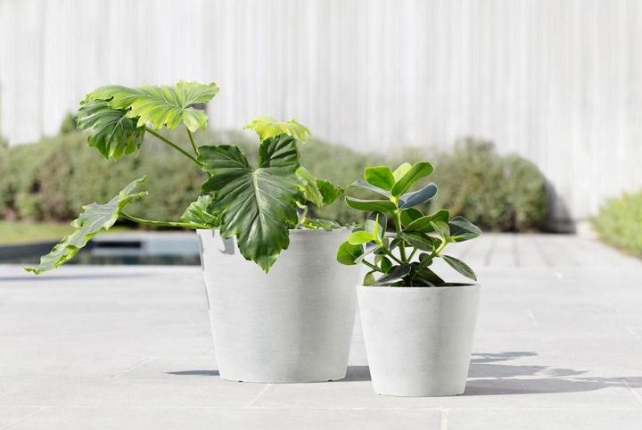 Image du produit Ecopots Amsterdam (20 cm)
