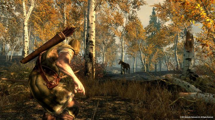 Produktbild Bethesda The Elder Scrolls V: Skyrim (Switch, Multilingual)