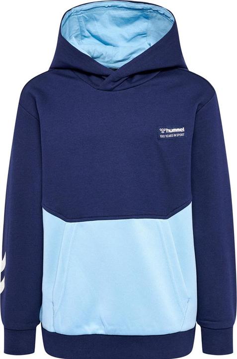 Produktbild hummel hmlEDDY HOODIE (176)