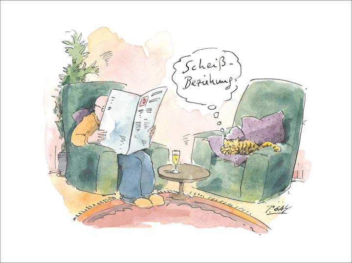 Image du produit Peter Gaymanns Katzen (Allemand, Peter Gaymann, 2020)