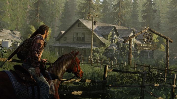 Actual product image Sony The Last of Us Remastered (PS4, IT)