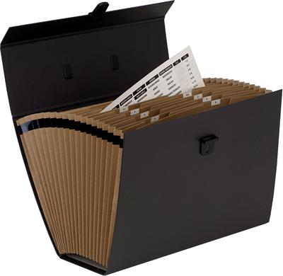 Immagine prodotto Fellowes Hanfile Document Manager (A4, 1 x)