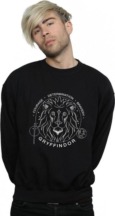 Immagine prodotto Gryffindor Seal Felpa Uomo (M)
