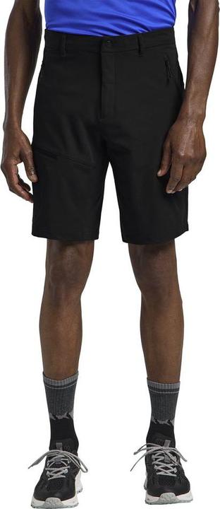 Actual product image Jack Wolfskin Pico Trail Shorts M (50)