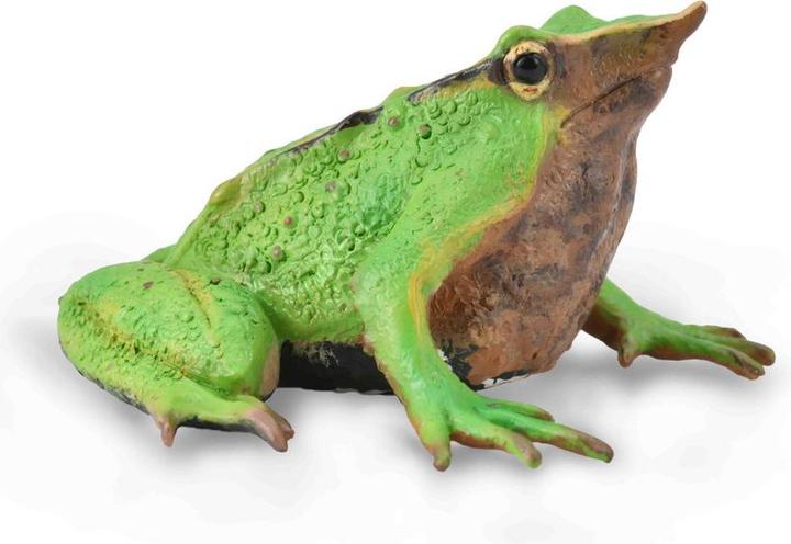 Image du produit Collecta Darwin Grenouille