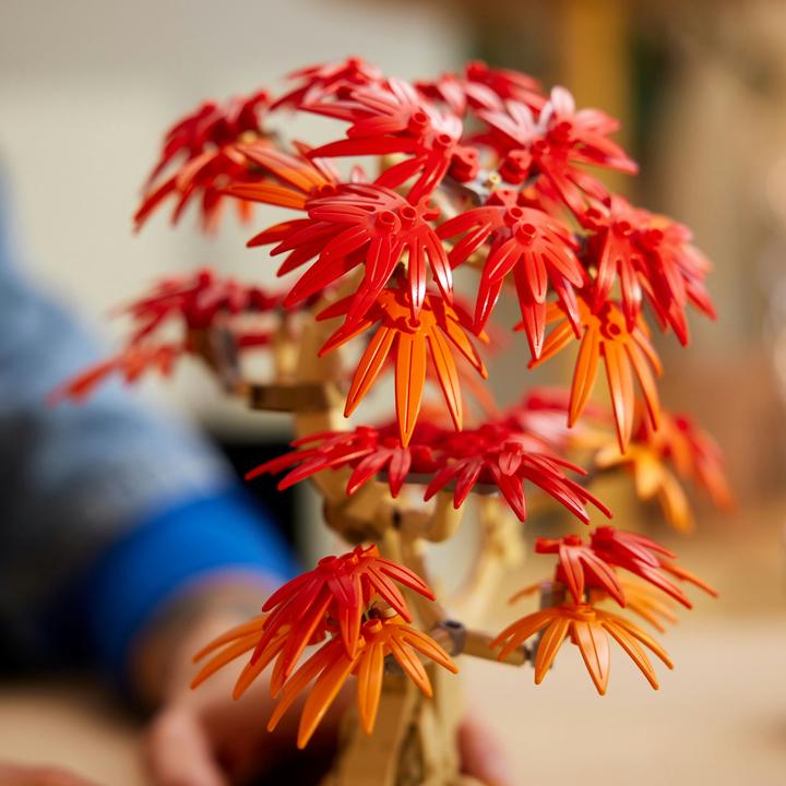 Produktbild LEGO Japanischer Roter Ahorn - Bonsai-Baum (10348, LEGO Botanical)