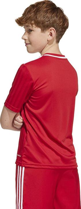Actual product image adidas Campeon 25 Jersey Kids (116)