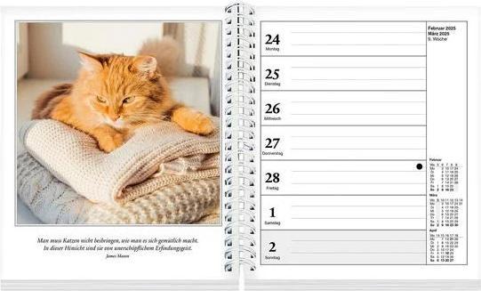 Produktbild Schmusekatzen Fotokalender 2025 (17 x 20 cm, Deutsch)