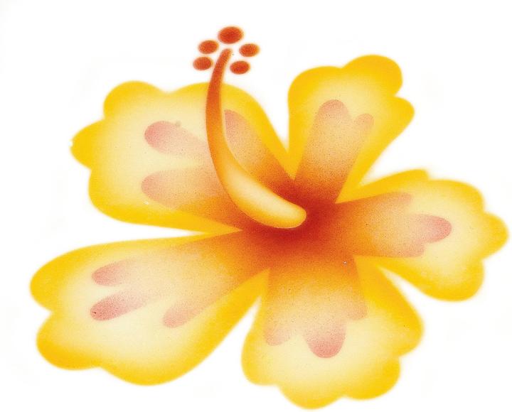 Image du produit Martellato Pochoir Airbrush Fleur d'ibis