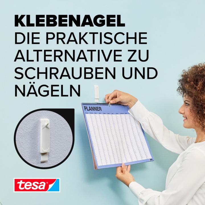 Actual product image tesa Adhesive nail for wallpaper & plaster, 1kg holding power, removable without a trace & reusable, 2