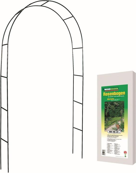 Image du produit Windhager arche de roses (37 cm, 140 cm)