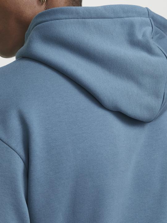 Actual product image Jack & Jones Jjebradley Sweat Hood Noos (L)