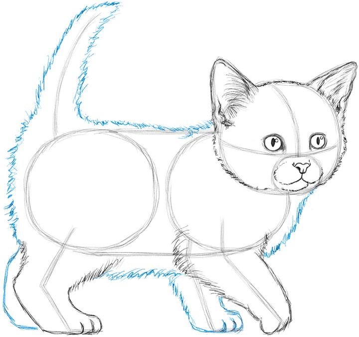 Actual product image The art of drawing for children - I draw cats