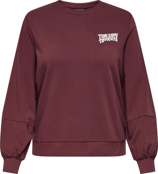 Only CARKAVIRA Sweatshirt Sweatshirt (L)
