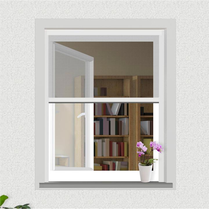 Actual product image Windhager Insect screen roller blind (100 x 160 cm)