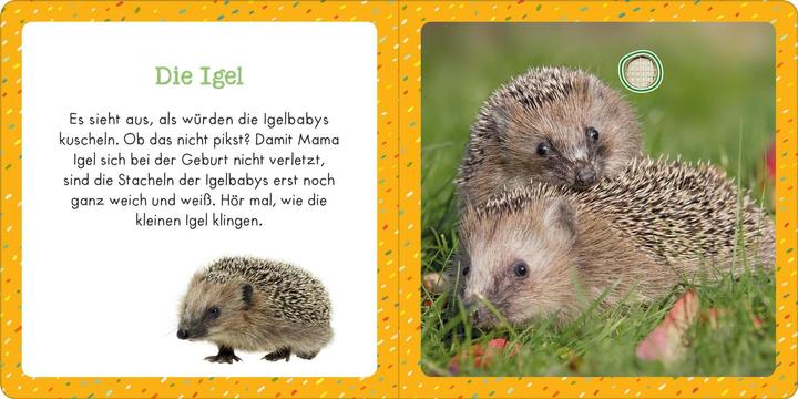 Produktbild Soundbuch für Klitzekleine – Kleine Tiere (Deutsch)