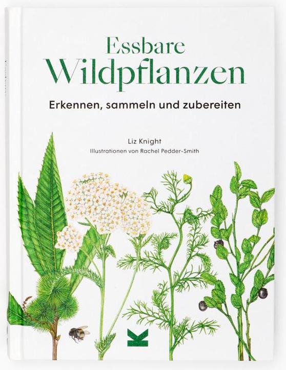 Actual product image Essbare Wildpflanzen (German, Liz Knight, Wiebke crab, Rachel Pedder-Smith, 2021)