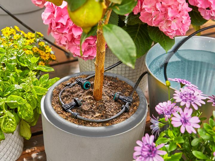 Produktbild Gardena AquaBloom Set (Tropfbewässerung Set)