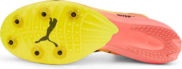 Actual product image Puma evoSPEED Distance Nitro Elit (43)