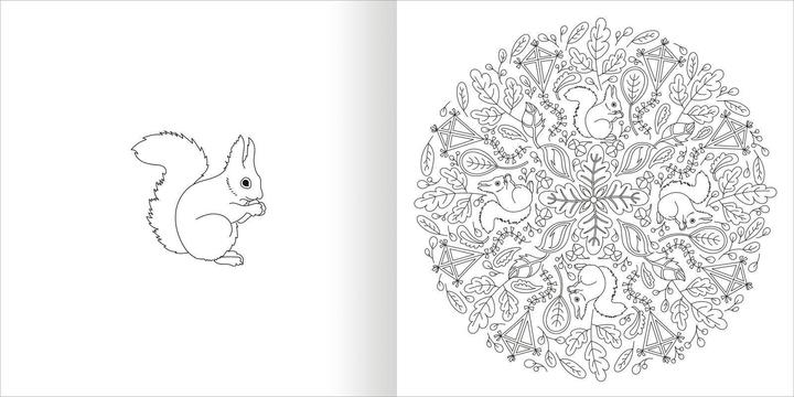 Image du produit Magie du Mandala - Les saisons